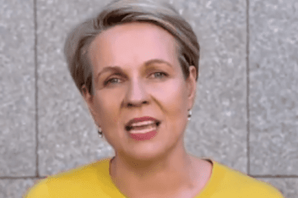 Tanya Plibersek