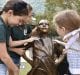 Fearless Girl statue