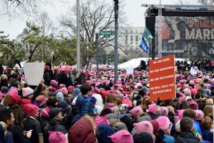 pink pussy hats march