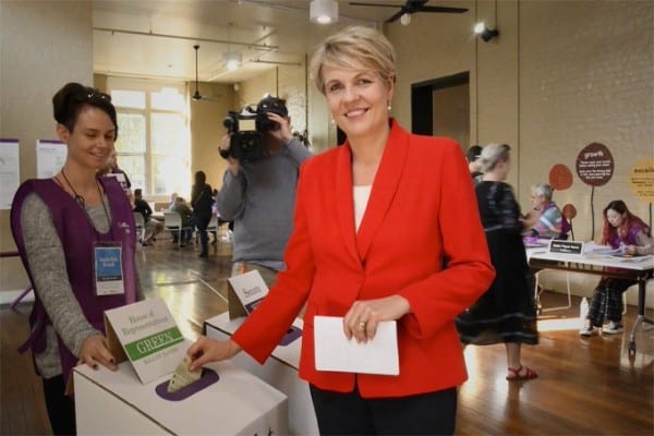 Tanya Plibersek Rules Out Running For The Labor Party Leadership