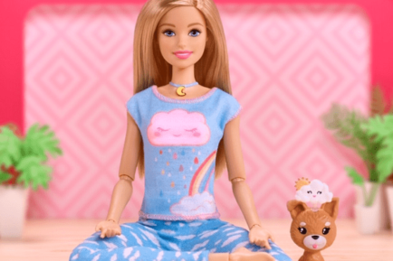 Wellness Barbie