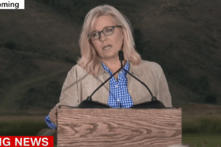 Liz Cheney