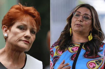 Pauline Hanson racism