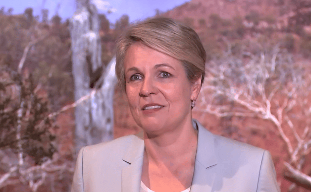 Tanya Plibersek Can Ignore Climate Harm From Coal Mines After Court ...