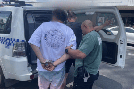 Domestic violence blitz