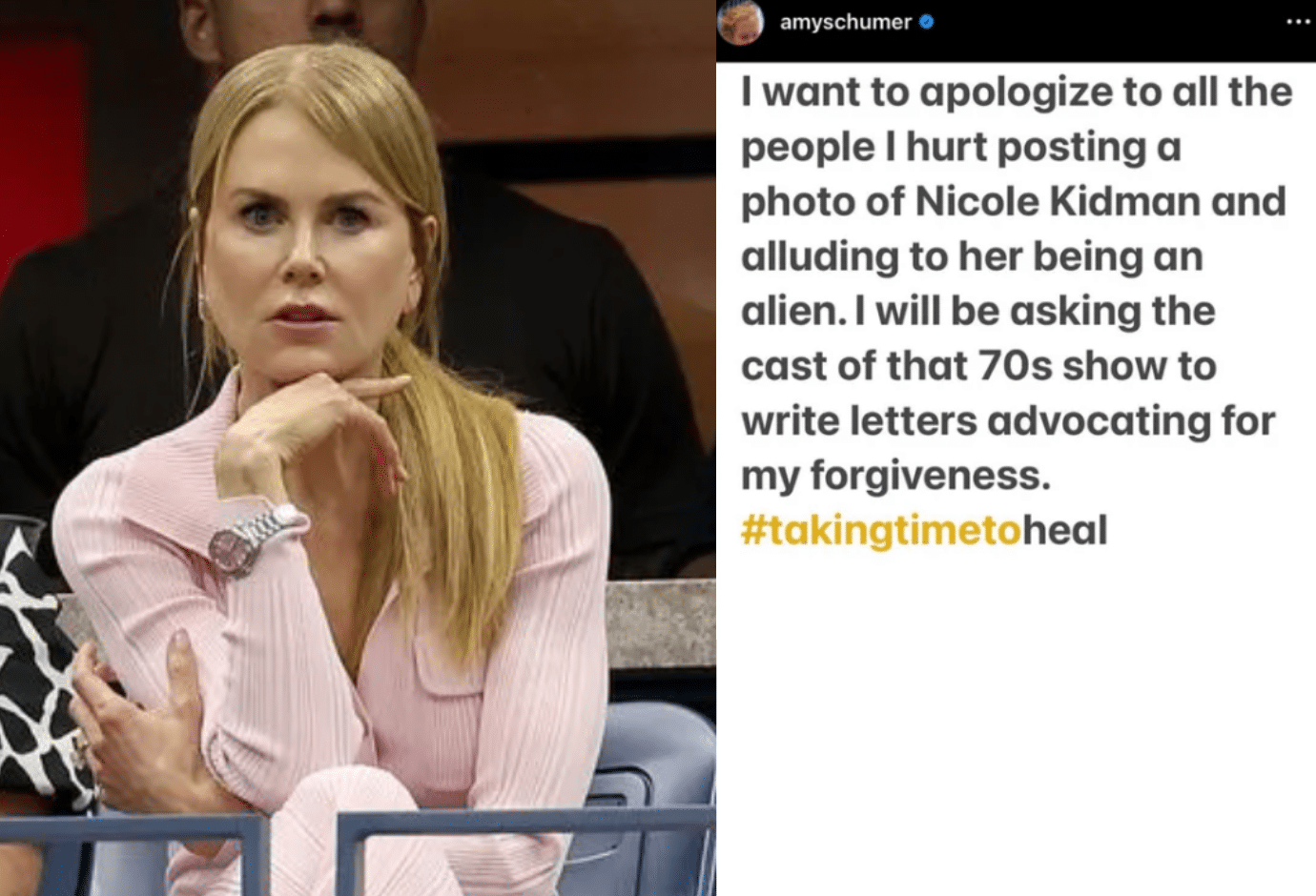 Amy Schumer Claps Back After Cyberbullying Accusations