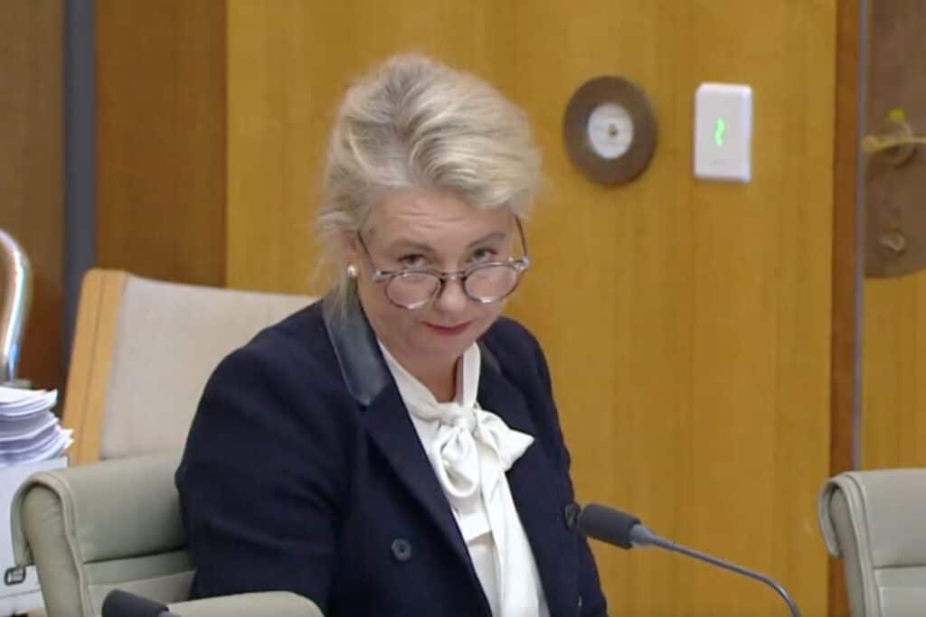 Senator Bridget McKenzie during the Senate estimates 2023.