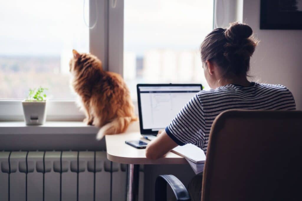 Woman sitting at her desk working from home with her cat. Stock image.