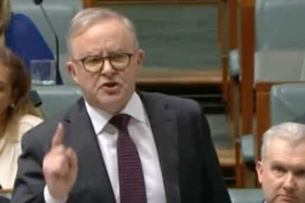 Anthony Albanese during Question Time