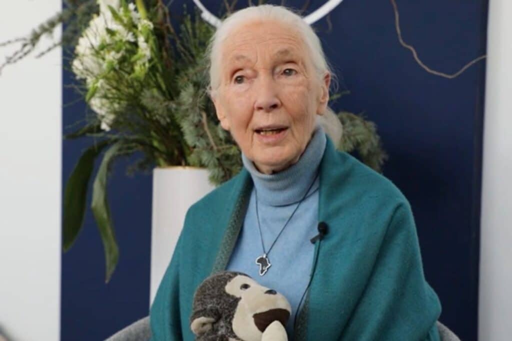 Conservationist Jane Goodall urges leaders to act on climate change in