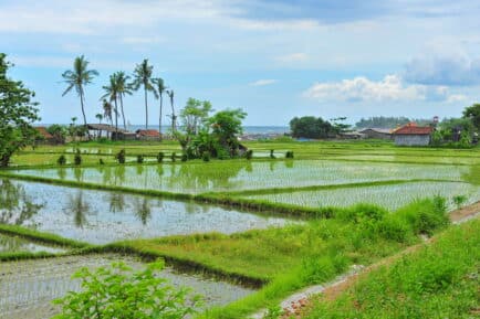 Bali