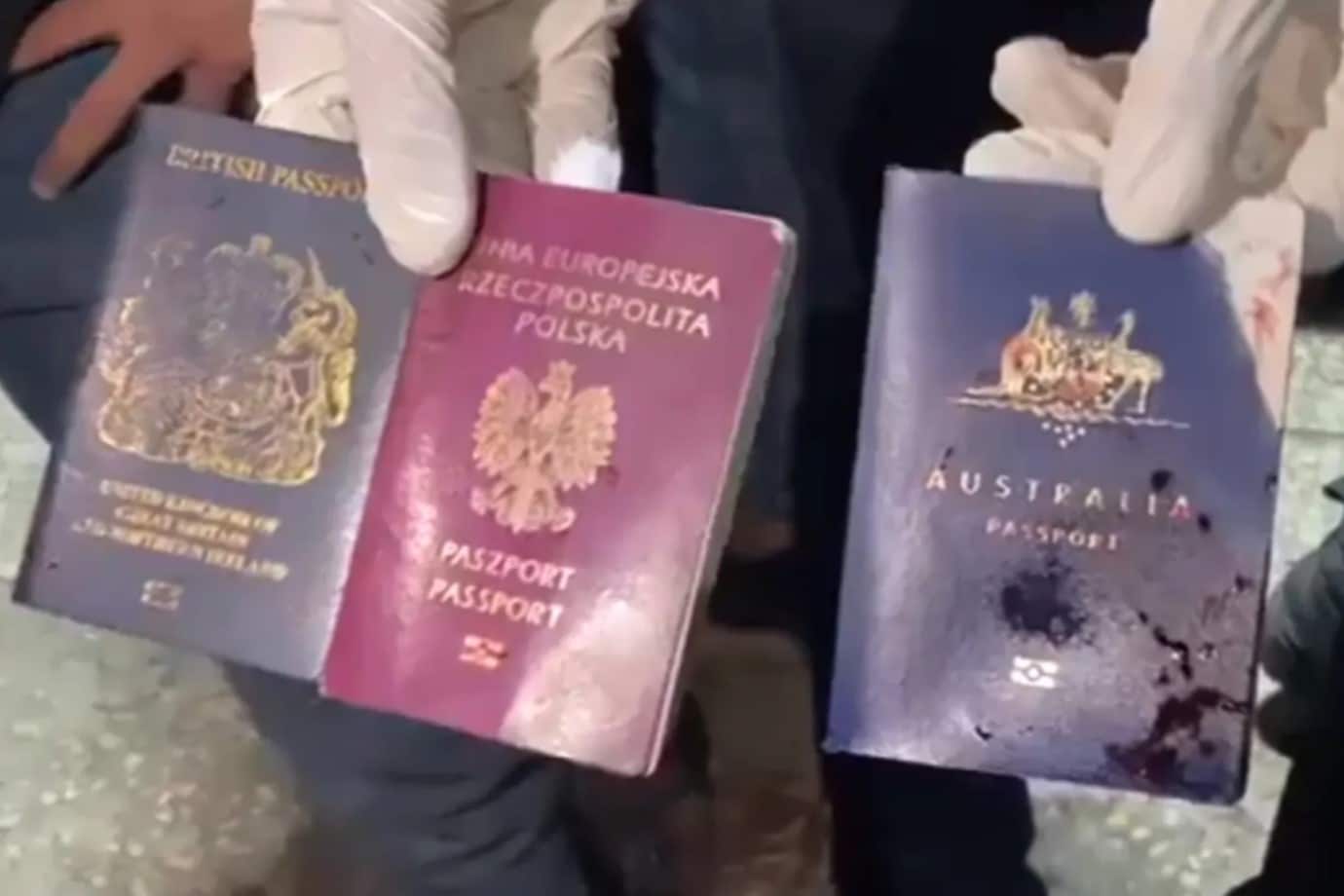 Australian woman reported as one of four aid workers killed in Gaza