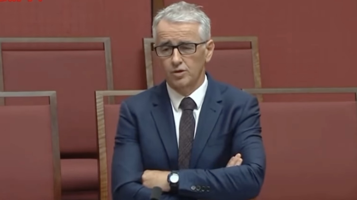 Concerned about childcare 'brainwashing', this senator quit the LNP