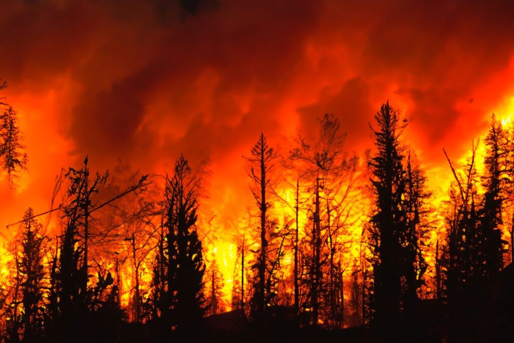 wildfires climate change