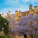 University of Sydney