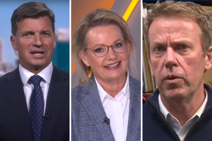 Potential Liberal leaders