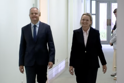 Sussan Ley elected Liberal leader