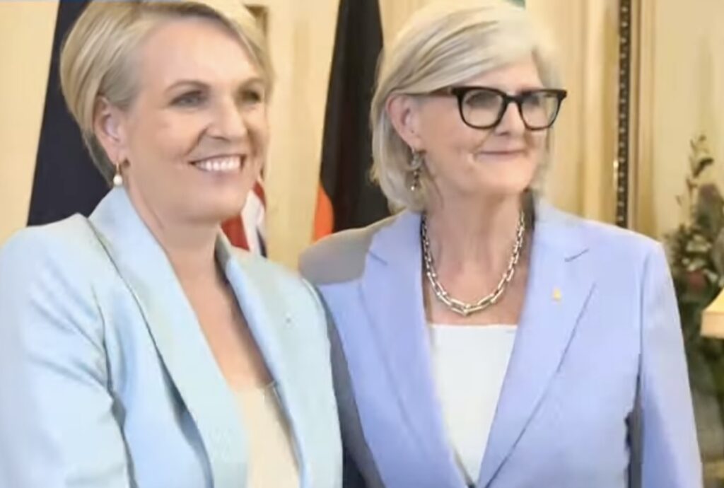 Tanya Plibersek sworn in as Social Services Minister