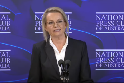 Sussan Ley at the National Press Club
