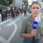 journalist