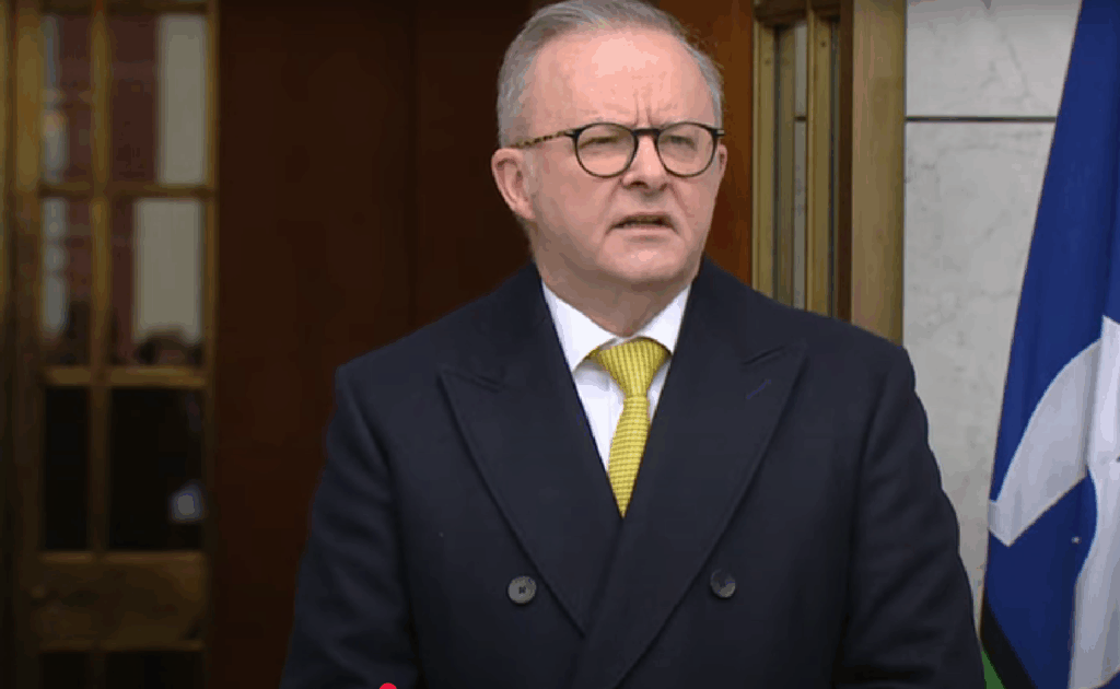 Anthony Albanese Gaza Screenshot