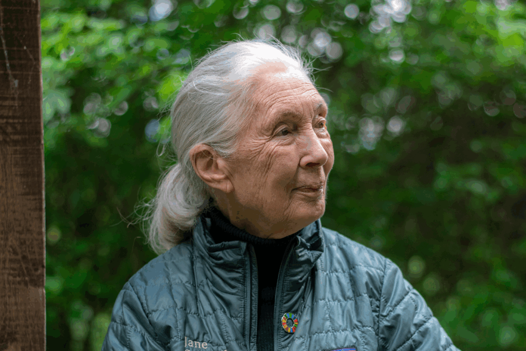 Dr Goodall
