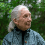 Dr Goodall