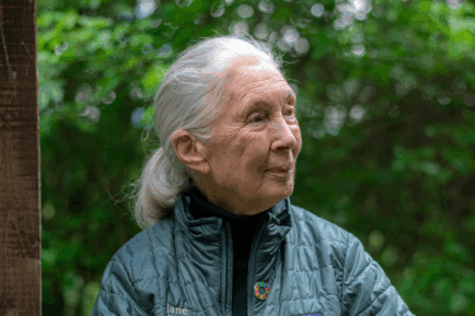 Dr Goodall