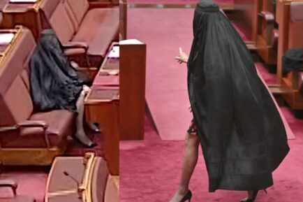 Pauline Hanson Burqa stunt senate
