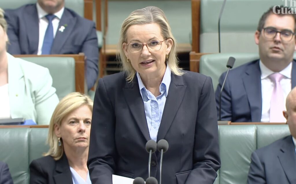Sussan Ley reads names of 74 women killed in Parliament