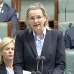 Sussan Ley reads names of 74 women killed in Parliament