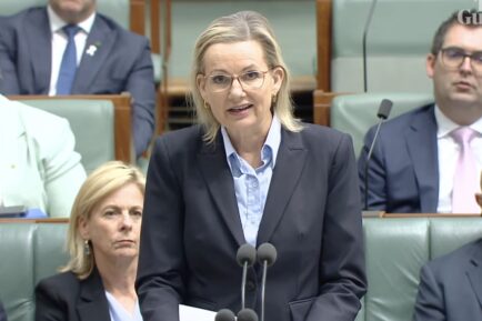 Sussan Ley reads names of 74 women killed in Parliament