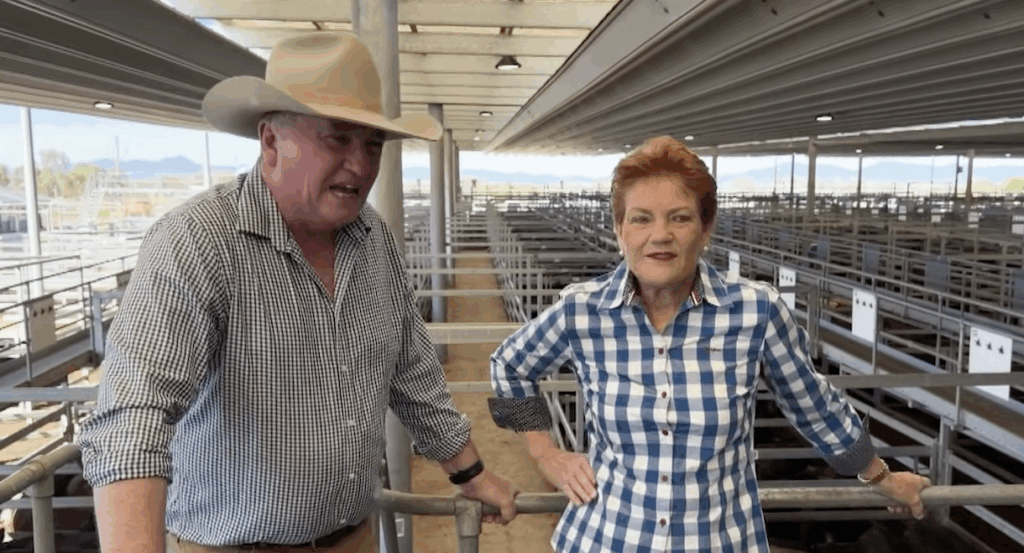 Barnany Joyce defects, Pauline Hanson gets massive pay increase