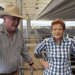 Barnany Joyce defects, Pauline Hanson gets massive pay increase