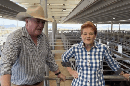 Barnany Joyce defects, Pauline Hanson gets massive pay increase