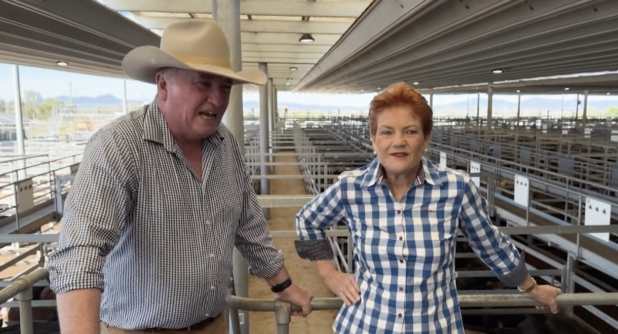 Barnany Joyce defects, Pauline Hanson gets massive pay increase