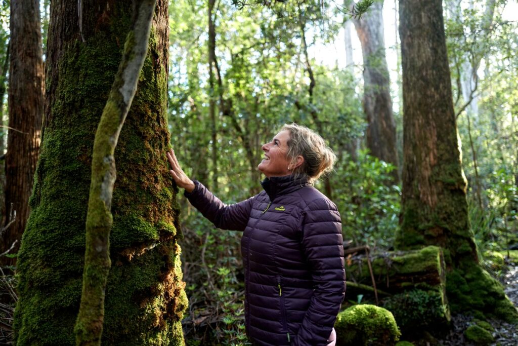 Tasmanian Walking Co