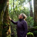 Tasmanian Walking Co