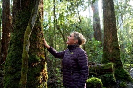 Tasmanian Walking Co