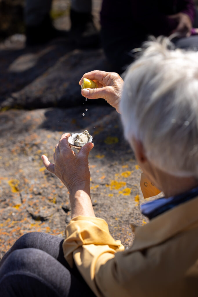 Tasmanian Walking Company
