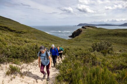 Tasmanian Walking Company