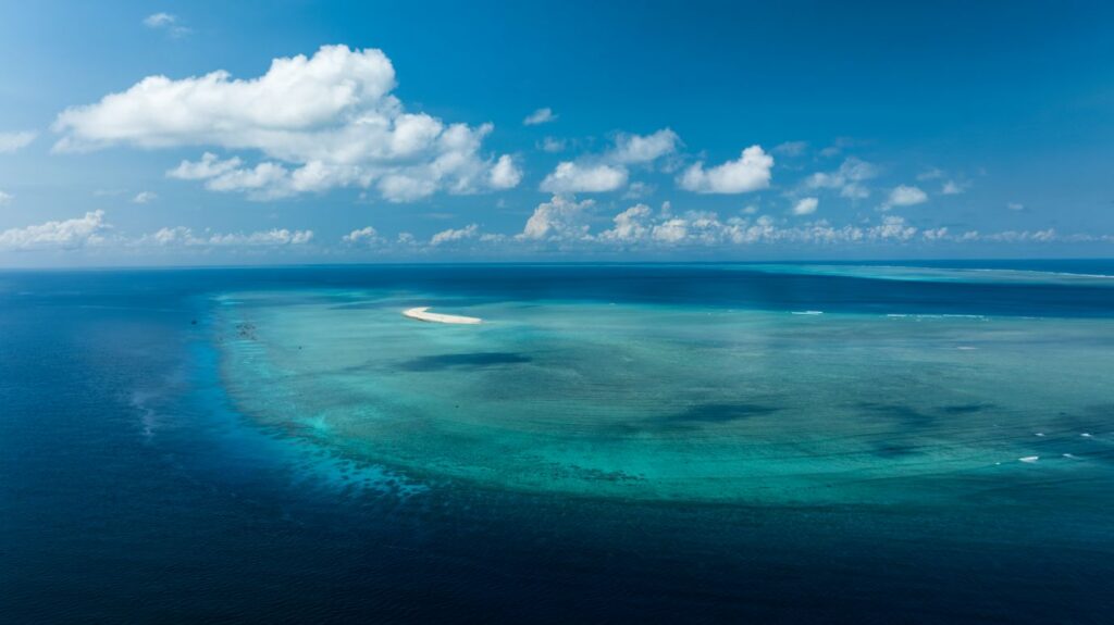 Scott Reef 55 - Credit_ Nush Freedman Photography