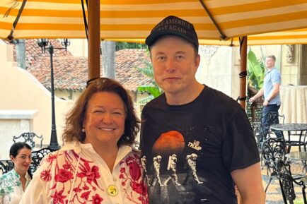 Gina Rinehart and Elon Musk